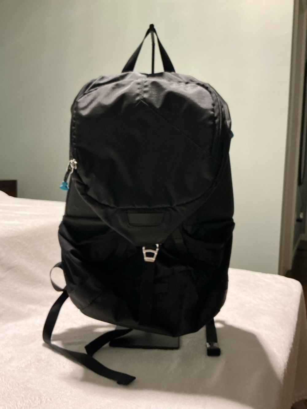 Thule Sweden Black Backpack - Durable Travel Bag